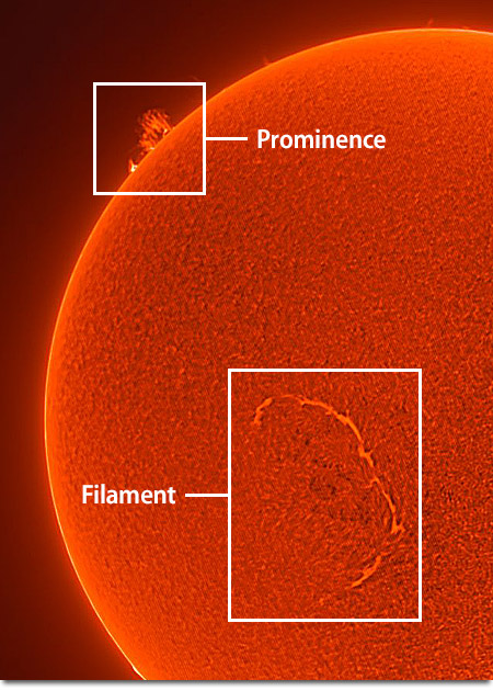 Solar Prominences/Filaments