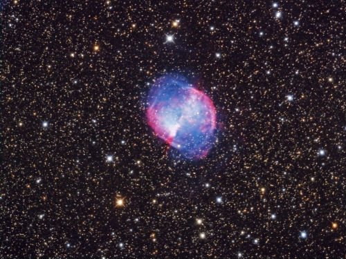 M27 - Dumbbell Nebula by Steve Peters