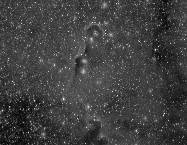 IC1396 - Elephant Trunk - Camera G3 Mono