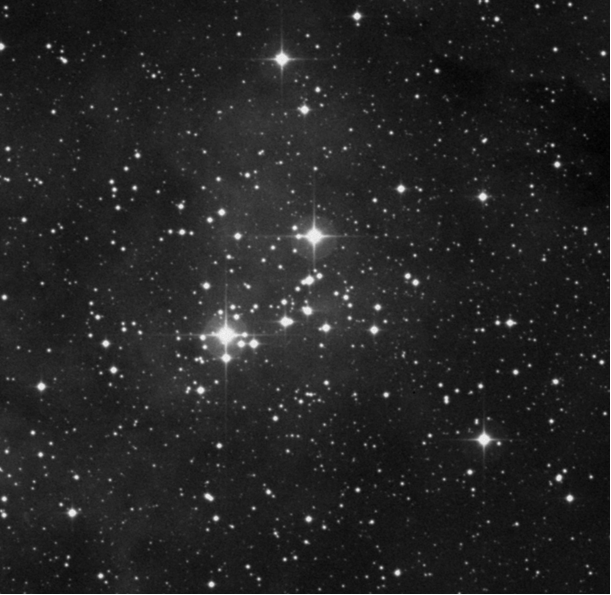 NGC 6910 - Palomar Observatory courtesy of Caltech