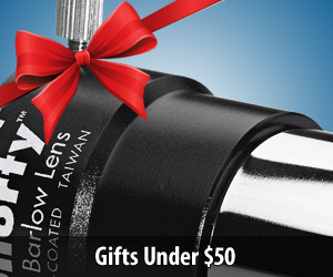 Stellar stocking stuffers under $50 for everyone on your list.