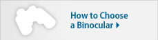 In-depth guide to choosing binoculars