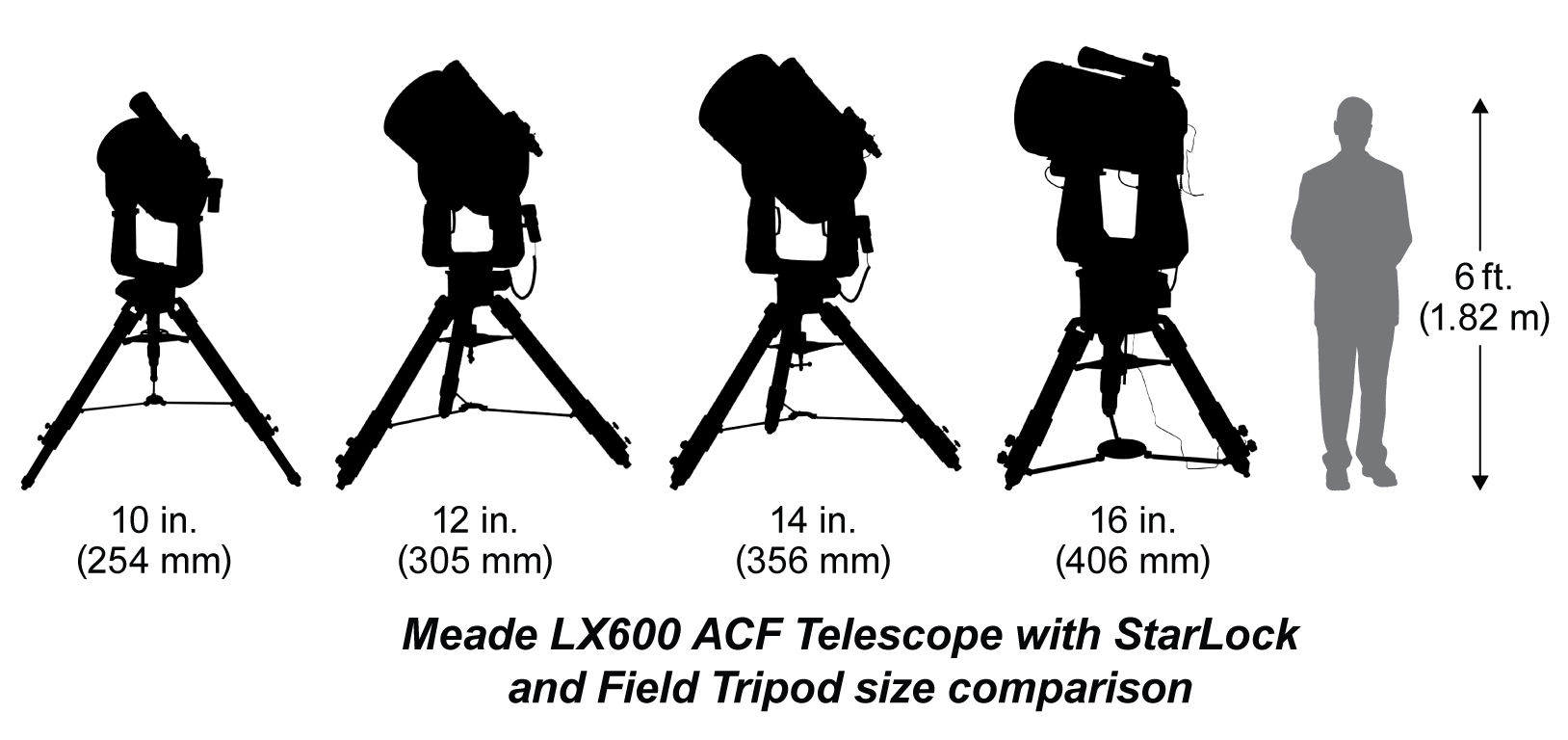 The LX600 Size Comparison.png
